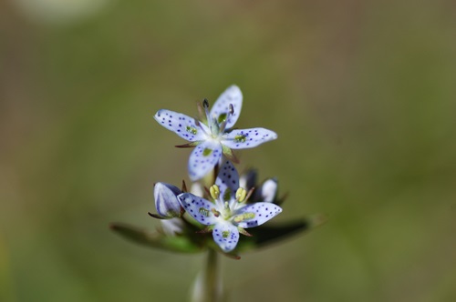 20150726003.jpg