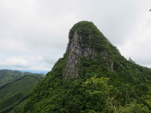 IMG_8174_1.jpg