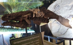 Gargoyleosaurus parkpinorum