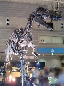 Torvosaurus 3
