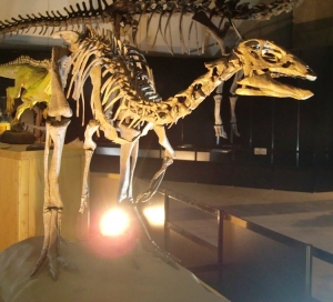 Dryosaurus