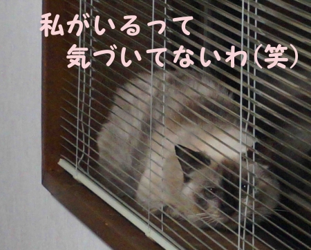 はるな