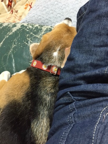 2015071502.jpg