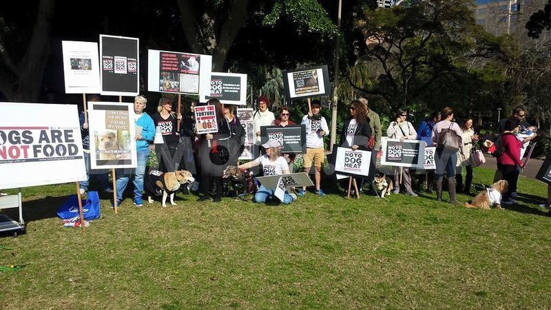 1437912186-rally-against-pets-being-eaten-sydney-australia_8192087.jpg