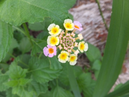 DSCF5284+1.jpg