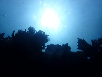 P1100304 (640x480)