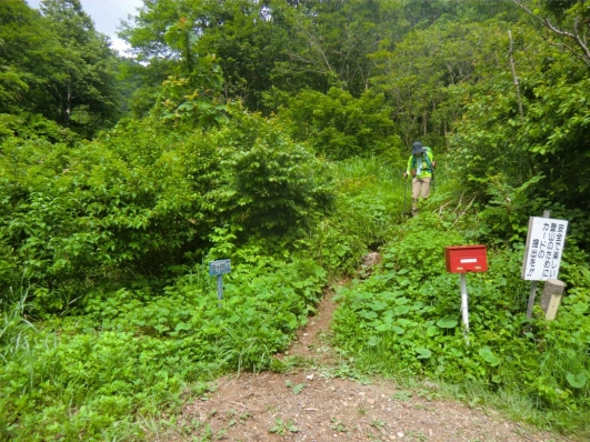 下山
