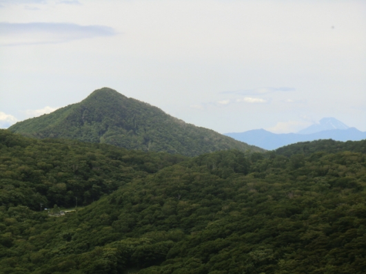 荒山と富士山