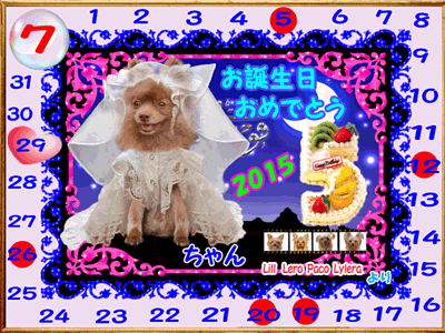2015-07-29ちゅらちゃん♀（5歳）誕生日