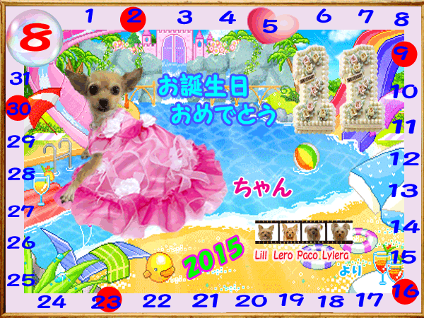 2015-08-10POLCOちゃん♀（11歳）誕生日