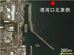 福島第一港湾口北東側