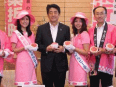 お隣の宮城や茨城に比べても綺麗な福島の女性に桃を贈られる安倍出戻り総理