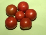 トマト150730