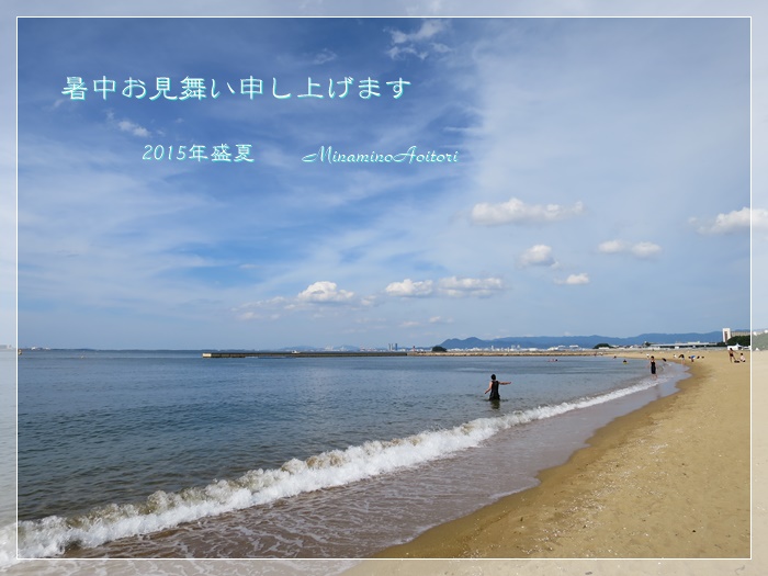 暑中お見舞い2015-07-24ももち浜 (20)