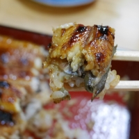 marumasuyakitaakabane4