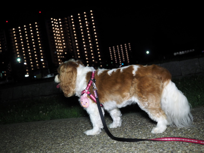 blog-P7234444.jpg