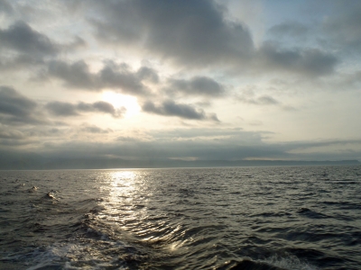 20150729-01.jpg