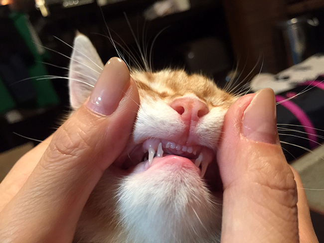 blog_000005896.jpg