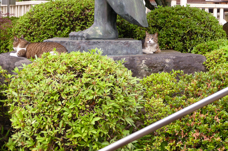 仁王像の足下の猫2匹
