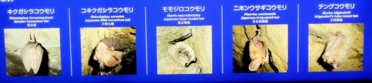 s-15年7月28日 (7)