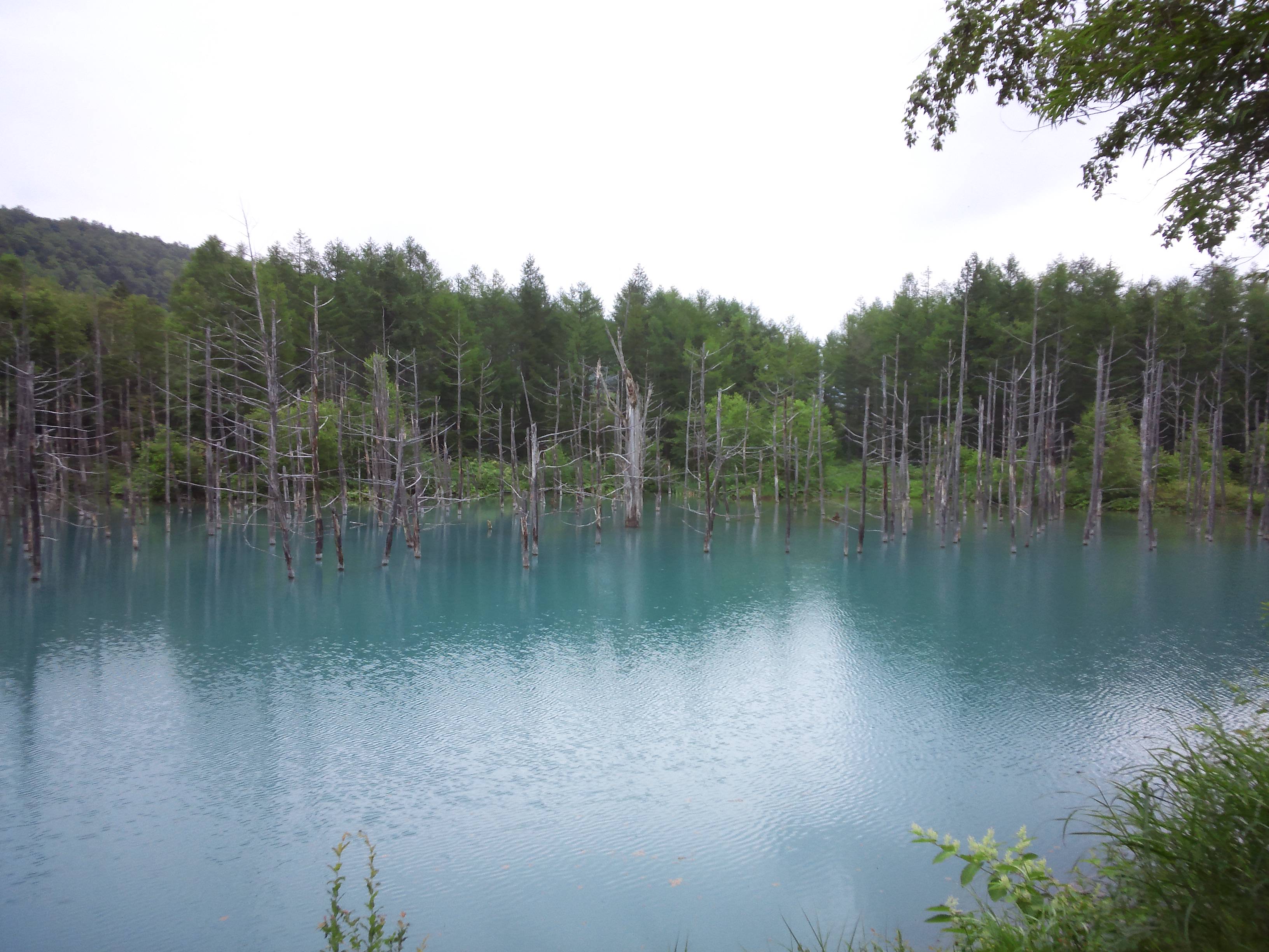 2015_0725_2_青い池2