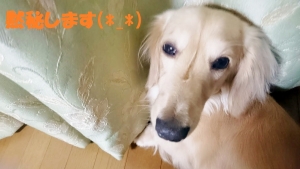 2015_07_23_002ブログ用