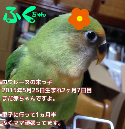 201508011533040c5.png