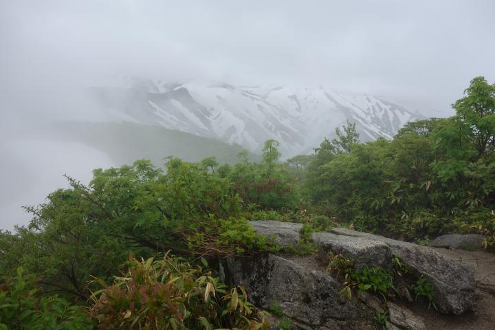 DSC03171_convert_20150622101233.jpg